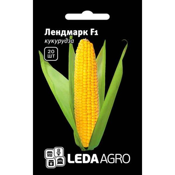 Семена кукурузы сахарной Лендмарк F1 /20 семян/ *LedaAgro*