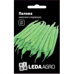 Квасоля Палома /20 насінин/ *LedaAgro*