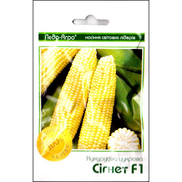Семена кукурузы сахарной Сигнет F1 /15 семян/ *LedaAgro*