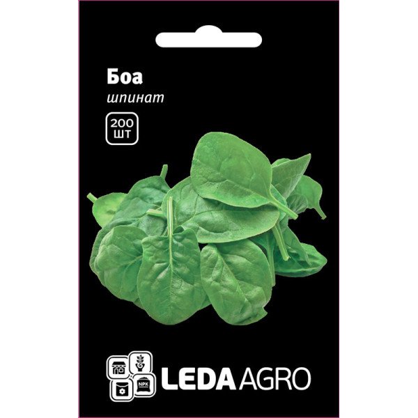 Насіння шпинату Боа /250 насінин/ *LedaAgro*