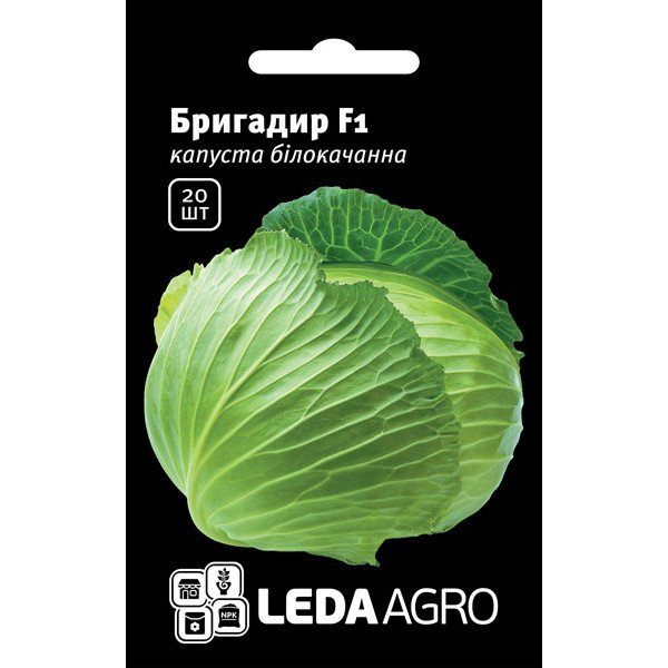 Насіння капусти білоголової Бригадир F1 /20 насінин/ *LedaAgro*