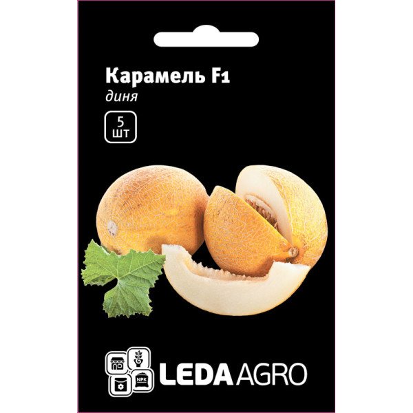 Семена дыни Карамель F1 /5 семян/ *LedaAgro*