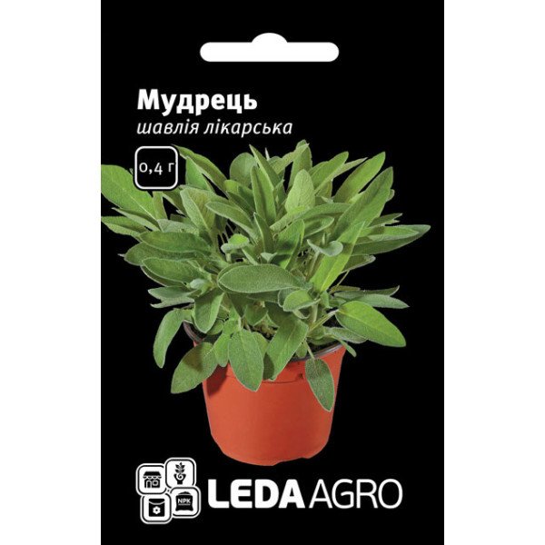 Семена шалфея Мудрец /0,4 г/ *LedaAgro*