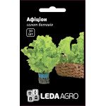 Салат Афицион /30 семян/ *LedaAgro*
