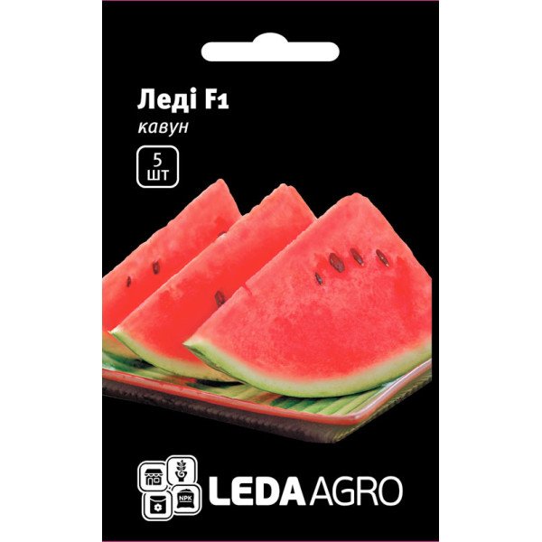 Насіння кавуна Леді F1 /5 насінин/ *LedaAgro*