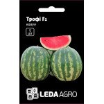 Арбуз Трофи F1 /5 семян/ *LedaAgro*