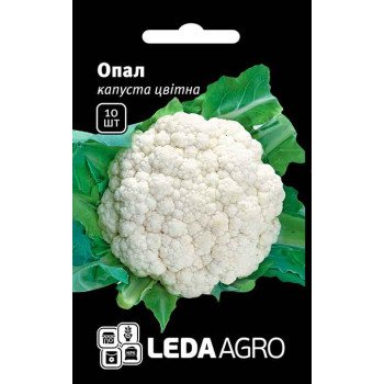 Капуста цветная Опал /10 семян/ *LedaAgro*