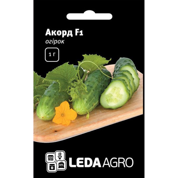 Семена огурца Акорд F1 /1 г/ *LedaAgro*