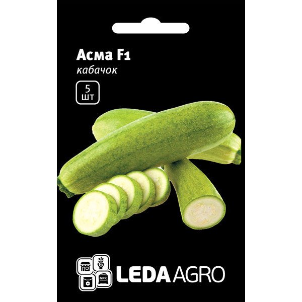 Семена кабачка Асма F1 /5 семян/ *LedaAgro*