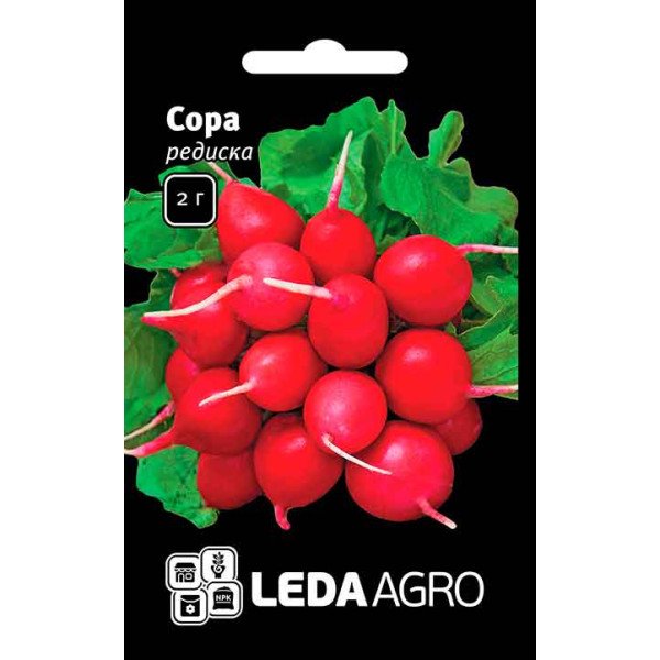 Насіння редиски Сора /2 г/ *LedaAgro*