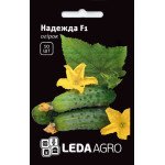 Огірок Надежда F1 /10 насінин/ *LedaAgro*