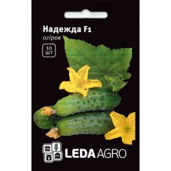 Огірок Надежда F1 /10 насінин/ *LedaAgro*