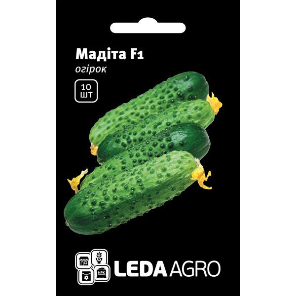 Насіння огірка Мадіта F1 /10 насінин/ *LedaAgro*