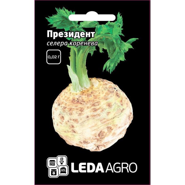 Насіння селери кореневої Президент /50 насінин/ *LedaAgro*