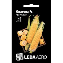 Кукурудза цукрова Оватона F1 /20 насінин/ *LedaAgro*