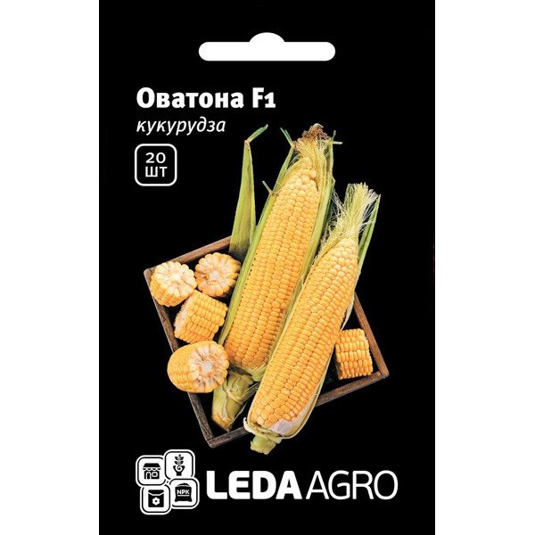 Насіння кукурудзи цукрової Оватонна F1 /20 насінин/ *LedaAgro*