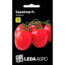 Томат Едвайзор F1 /100 насінин/ *LedaAgro*