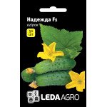 Огірок Надежда F1 /50 насінин/ *LedaAgro*