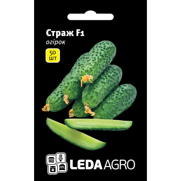 Семена огурца Страж F1 /50 семян/ *LedaAgro*