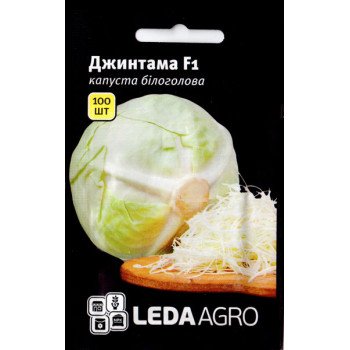 Капуста білоголова Джинтама F1 /100 насінин/ *LedaAgro*