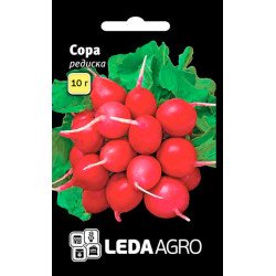 Редис Сора /10 г/ *LedaAgro*