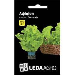 Салат Афицион /100 семян/ *LedaAgro*