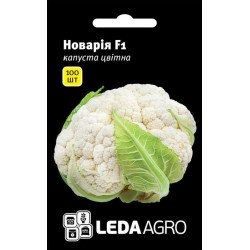 Капуста цветная Новария F1 /100 семян/ *LedaAgro*