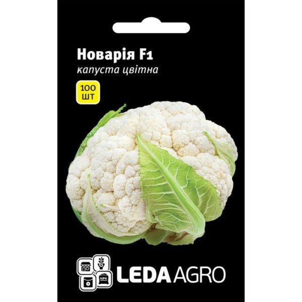 Насіння капусти цвітної Новарія F1 /100 насінин/ *LedaAgro*