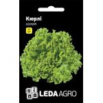Салат Кюрлі /50 насінин/ *LedaAgro*