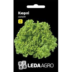 Салат Кюрлі /50 насінин/ *LedaAgro*