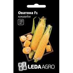 Кукурудза цукрова Оватона F1 /100 насінин/ *LedaAgro*