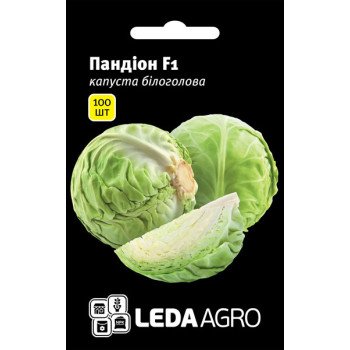 Капуста білоголова Пандіон F1 /100 насінин/ *LedaAgro*