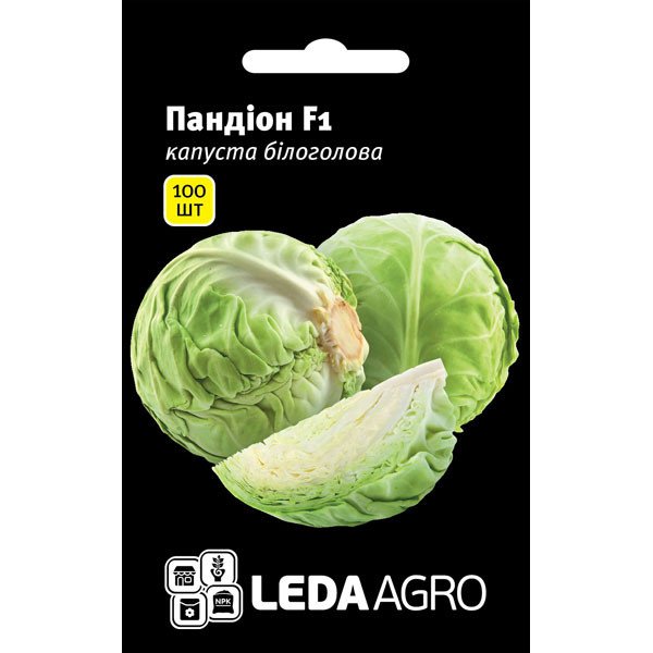 Насіння капусти білоголової Пандіон F1 /100 насінин/ *LedaAgro*