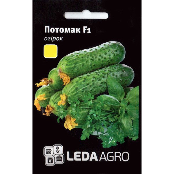 Семена огурца Потомак F1 /250 семян/ *LedaAgro*