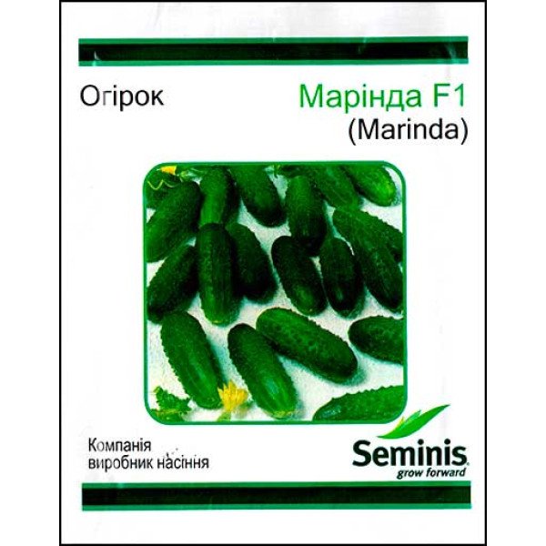 Семена огурца Маринда F1 /100 семян/ *LedaAgro*