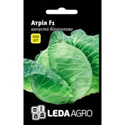 Капуста белокочанная Атрия F1 /100 семян/ *LedaAgro*