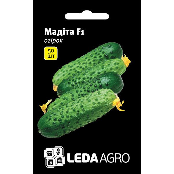 Насіння огірка Мадіта F1 /50 насінин/ *LedaAgro*