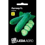 Огурец Лютояр F1 /50 семян/ *LedaAgro*