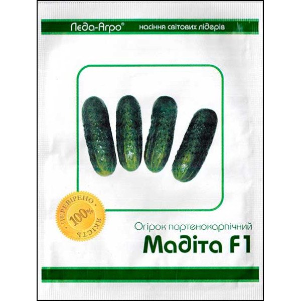 Насіння огірка Мадіта F1 /100 насінин/ *LedaAgro*
