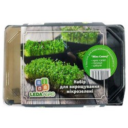 Микрозелень (микрогрин) Микс вкусов /кресс-салат, горчица, лук/ *LedaAgro*