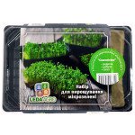 Микрозелень (микрогрин) Смачниссимо /редис, лук, салат/ *LedaAgro*