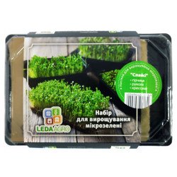 Мікрозелень (мікрогрін) Спайсі /гірчиця, рукола, крес-салат/ *LedaAgro*