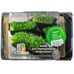 Мікрозелень (мікрогрін) Сієста /цибуля, базилік фіолетовий, рукола/ *LedaAgro*