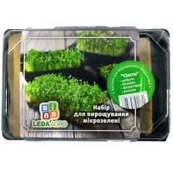 Микрозелень (микрогрин) Сиеста /лук, базилик фиолетовый, руккола/ *LedaAgro*