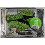 Мікрозелень (мікрогрін) Бадьорий смузі /гірчиця, редька, цибуля/ *LedaAgro*