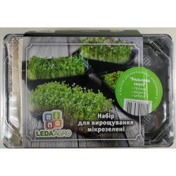 Микрозелень (микрогрин) Бодрящий смузи /горчица, редька, лук/ *LedaAgro*