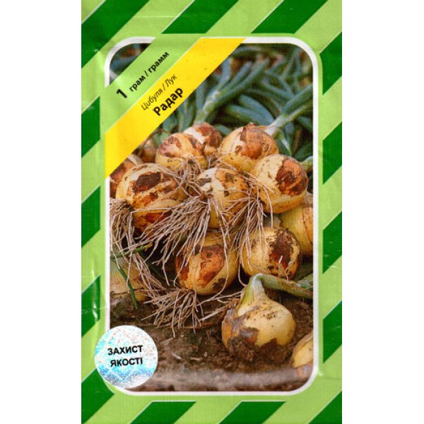 Насіння цибулі Радар /1 г/ *АгроПак*