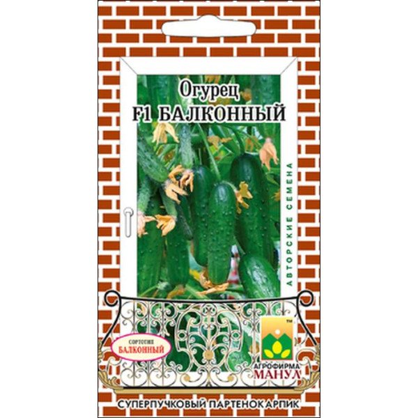 Насіння огірка Балконний F1 /10 насінин/ *Манул*