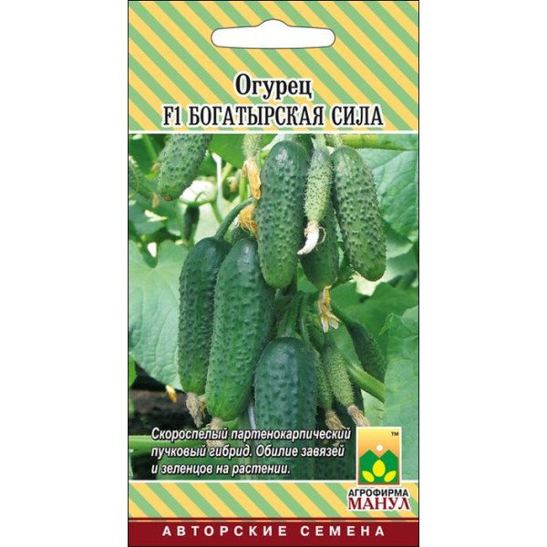 Огірок Богатирська сила F1 /10 насінин/ *Манул*