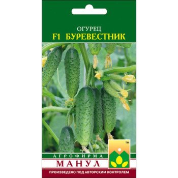 Огірок Буревісник F1 /10 насінин/ *Манул*